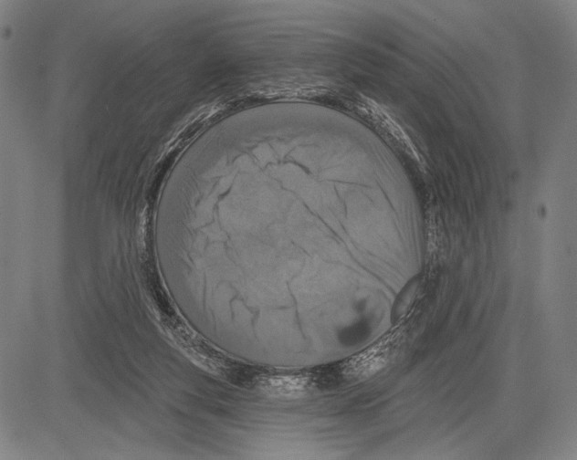 X0000081600163200702121558