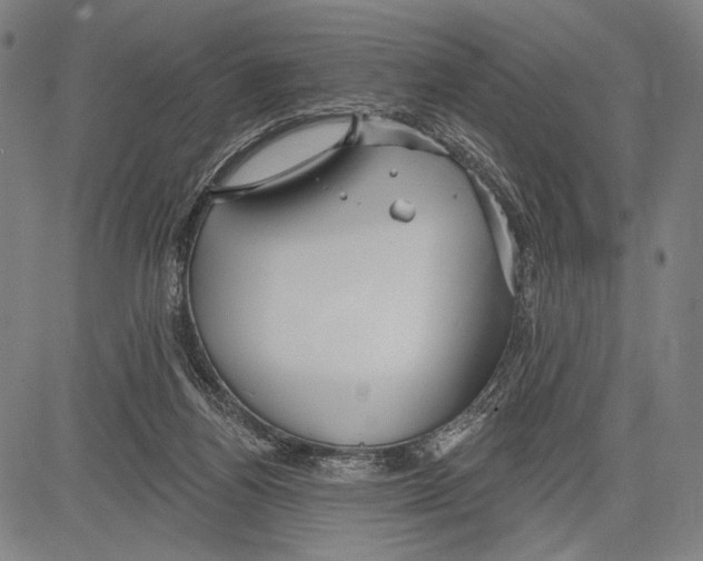 X0000081600164200702121558