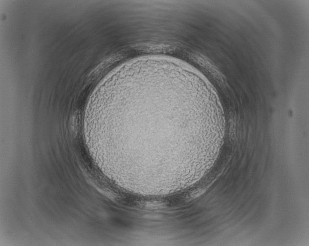 X0000081600165200702121558