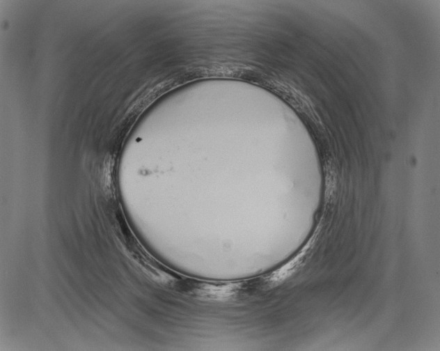 X0000081600166200702121558