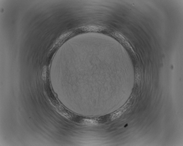 X0000081600167200702121558