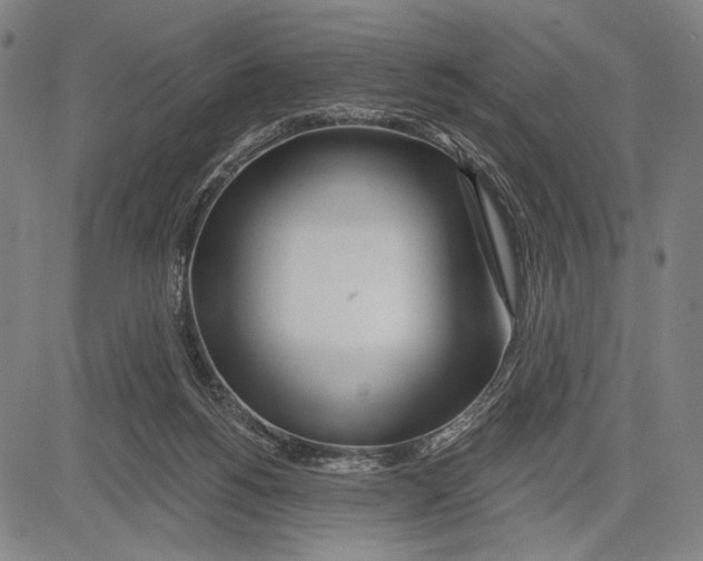 X0000081600168200702121558