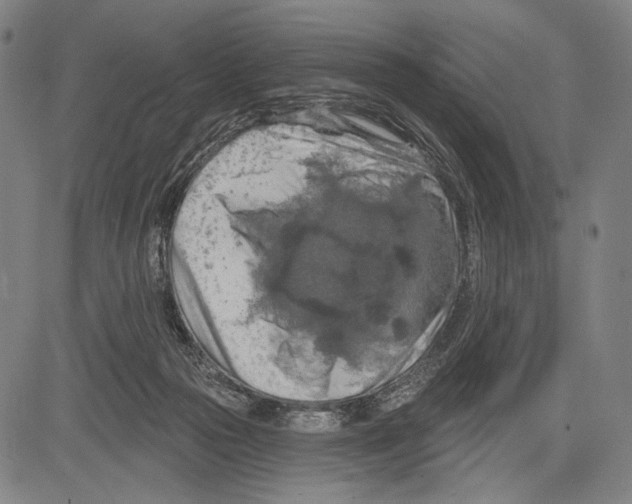 X0000081600169200702121558