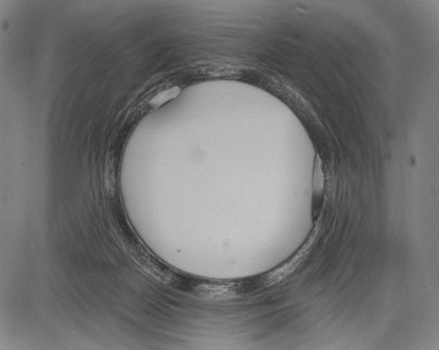 X0000081600170200702121558