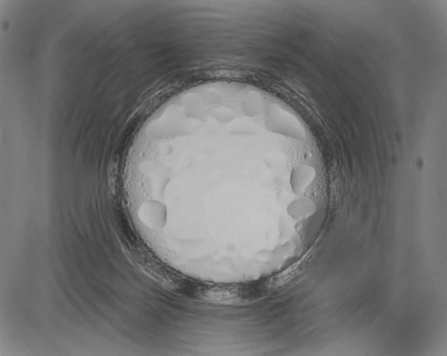 X0000081600171200702121558