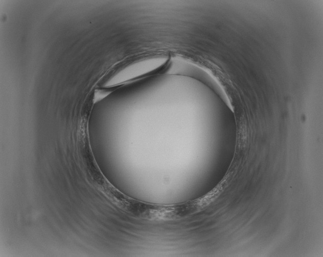 X0000081600172200702121558