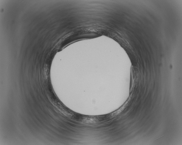 X0000081600174200702121558