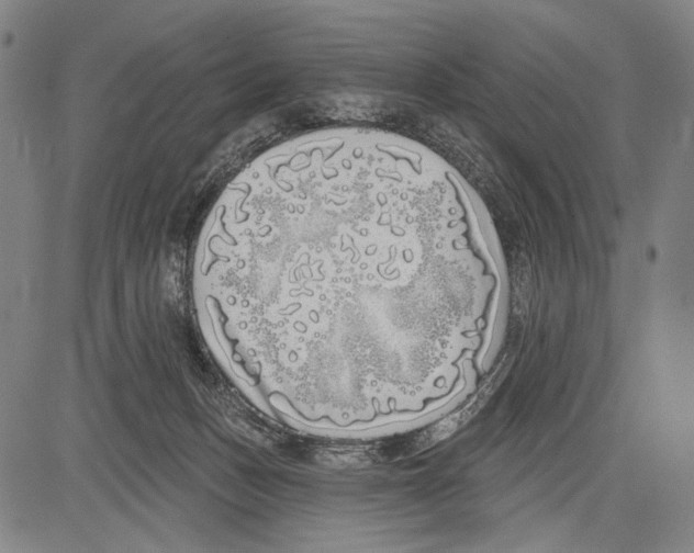 X0000081600175200702121558