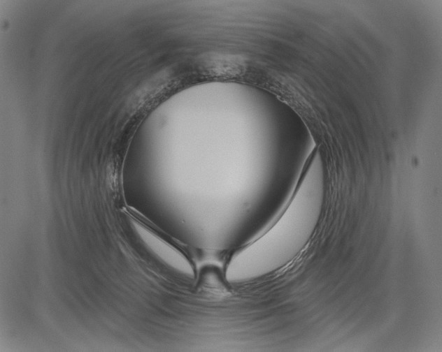 X0000081600176200702121558