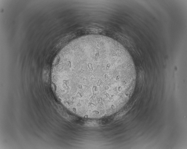 X0000081600177200702121558