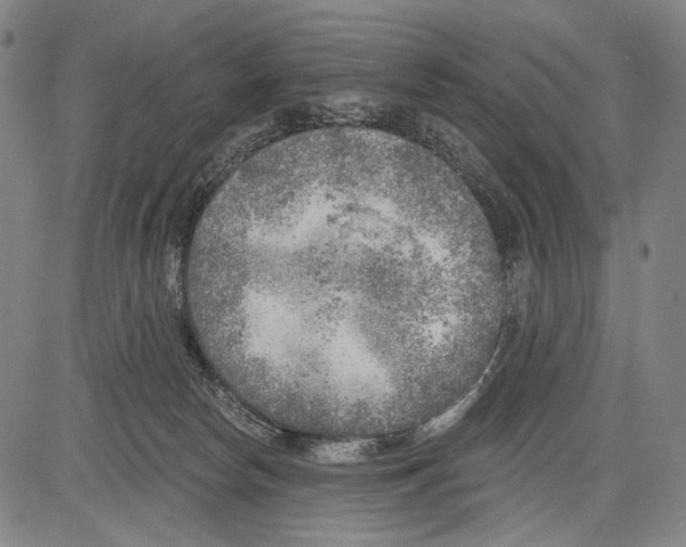 X0000081600178200702121558