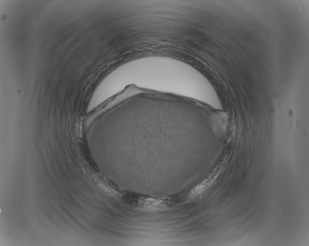 X0000081600180200702121558