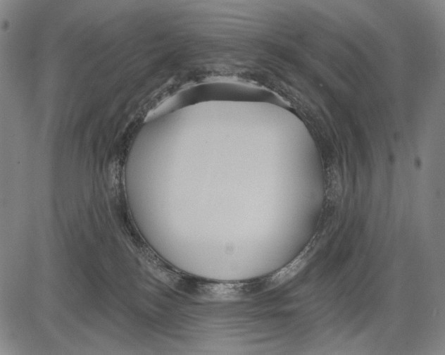 X0000081600184200702121558