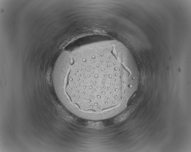 X0000081600185200702121558