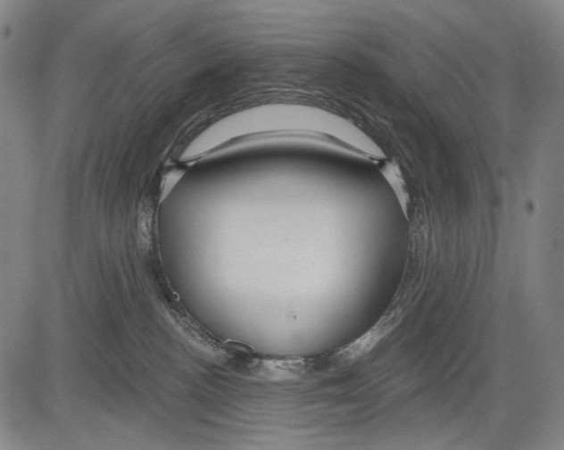 X0000081600188200702121558