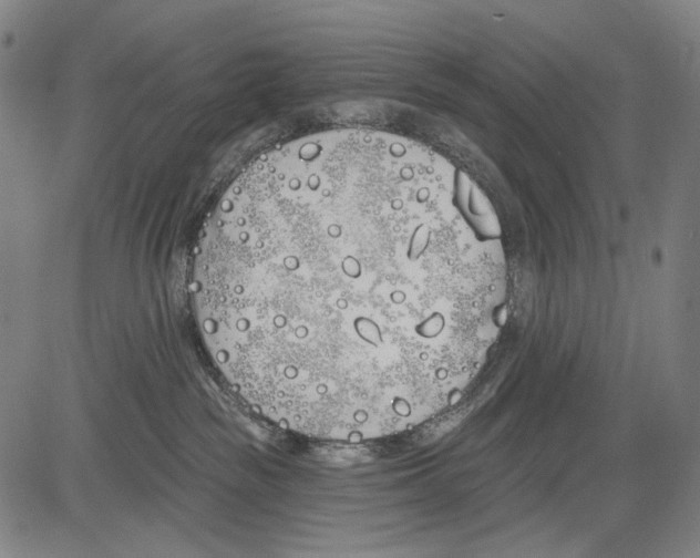 X0000081600189200702121558