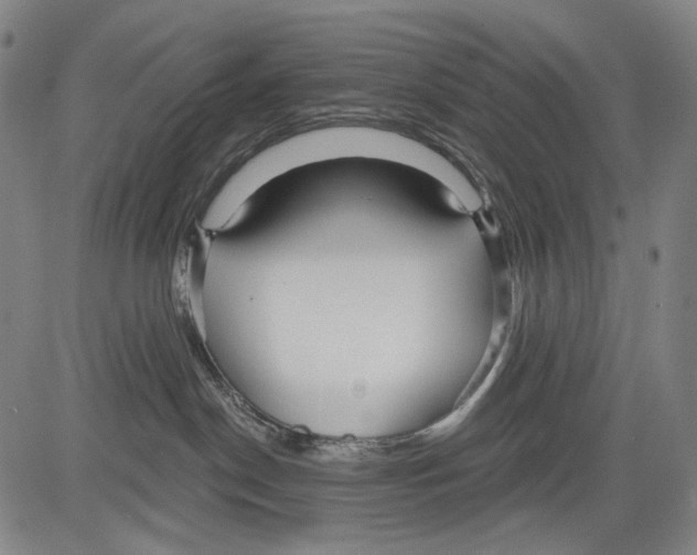 X0000081600190200702121558