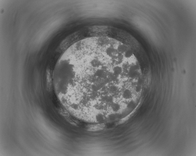 X0000081600191200702121558