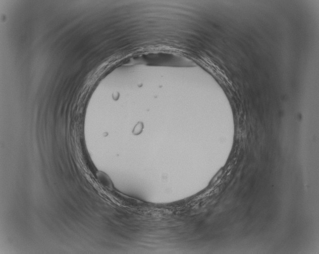 X0000081600193200702121558