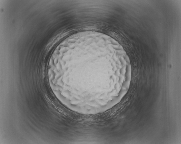 X0000081600194200702121558