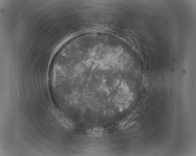 X0000081600196200702121558