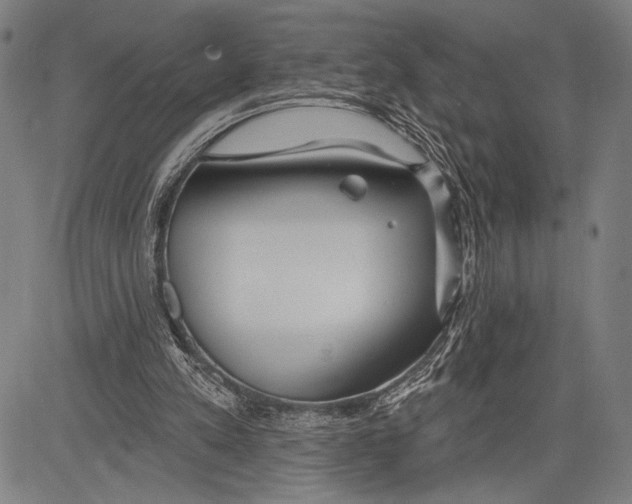 X0000081600197200702121558