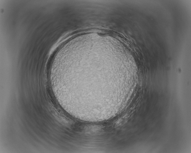 X0000081600198200702121558