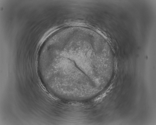 X0000081600199200702121558