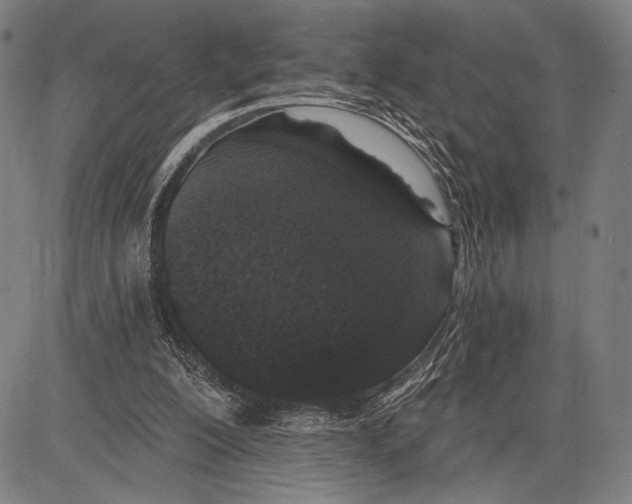 X0000081600200200702121558