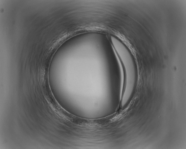 X0000081600201200702121558