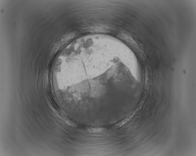 X0000081600202200702121558