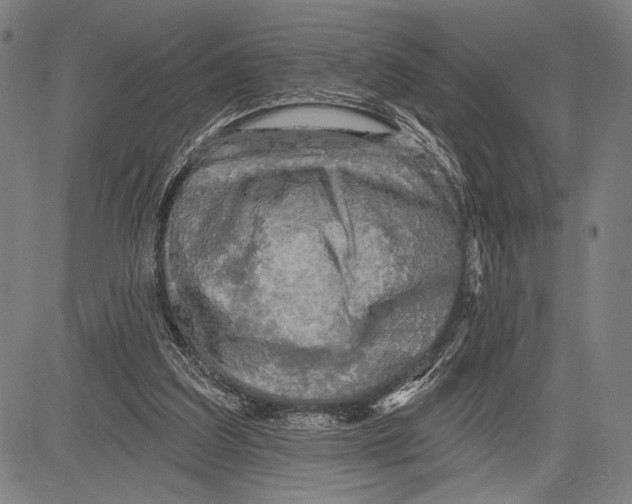 X0000081600203200702121558