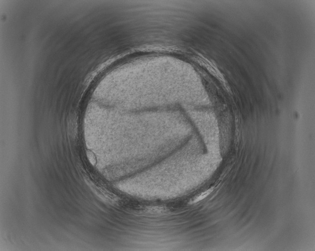 X0000081600204200702121558