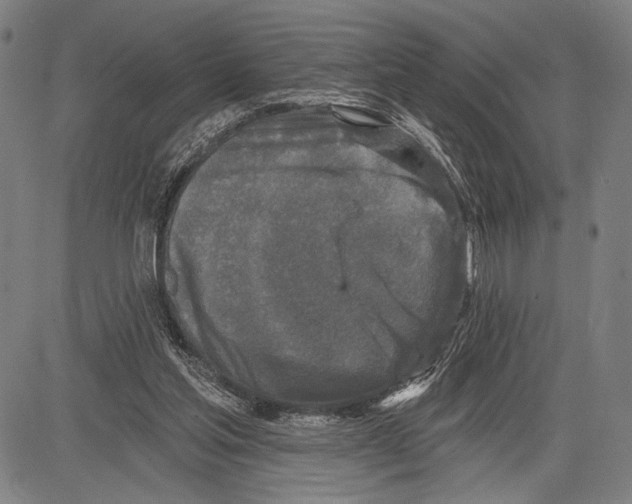 X0000081600205200702121558