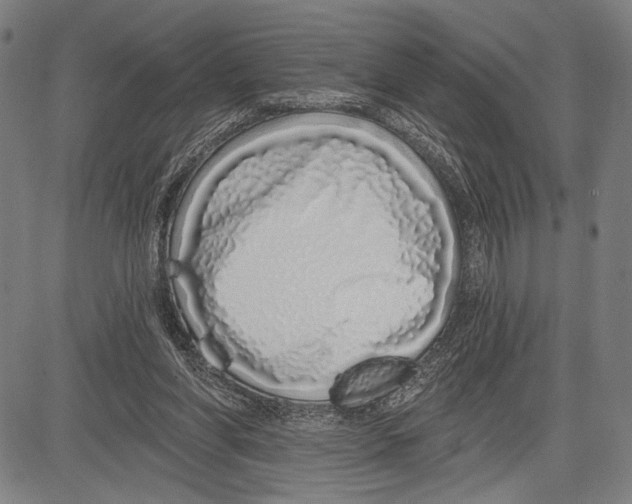 X0000081600206200702121558