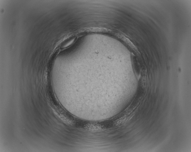 X0000081600207200702121557