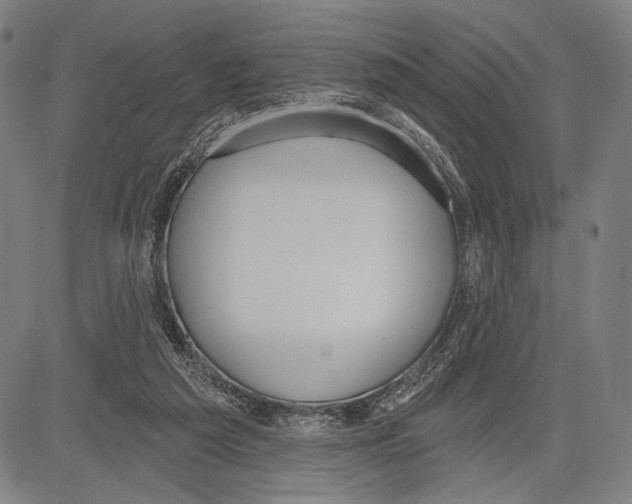 X0000081600209200702121557