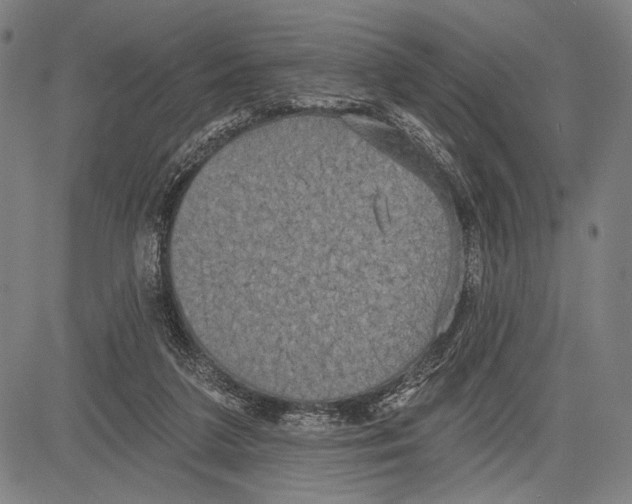 X0000081600211200702121557