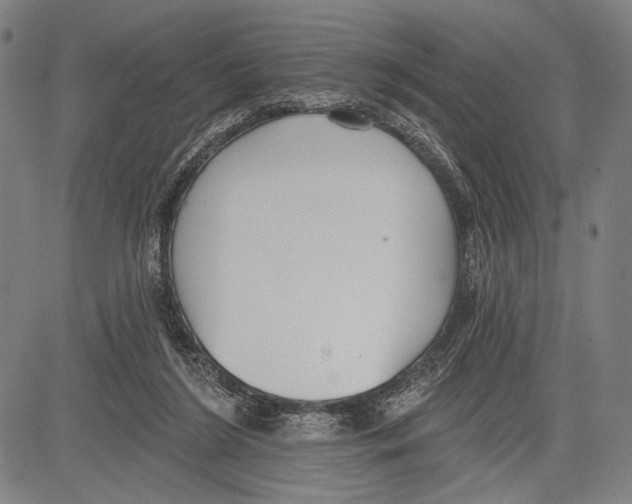 X0000081600212200702121557