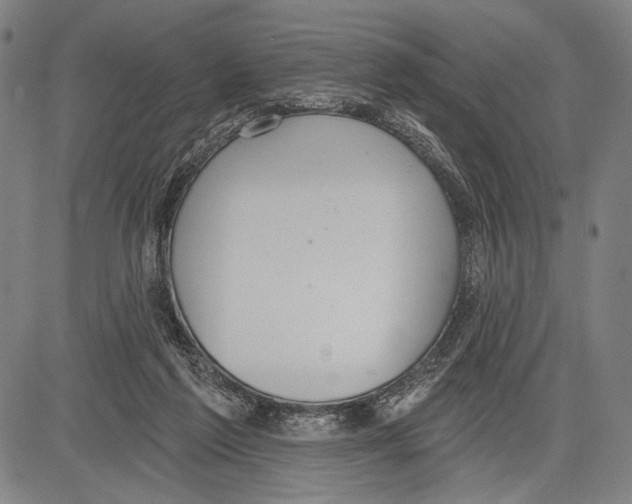 X0000081600213200702121557