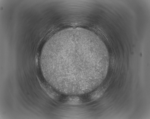 X0000081600214200702121557