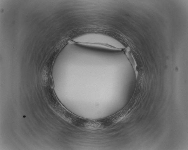 X0000081600215200702121557