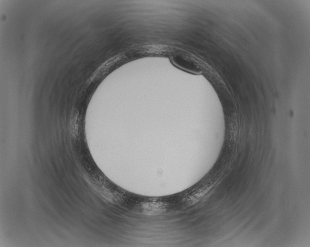 X0000081600216200702121557