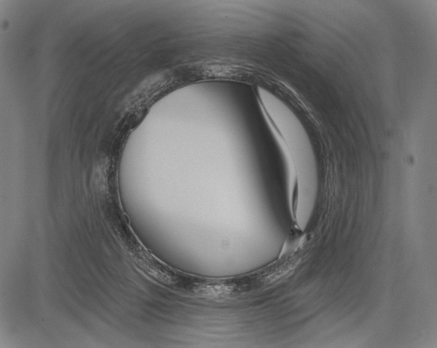 X0000081600217200702121557