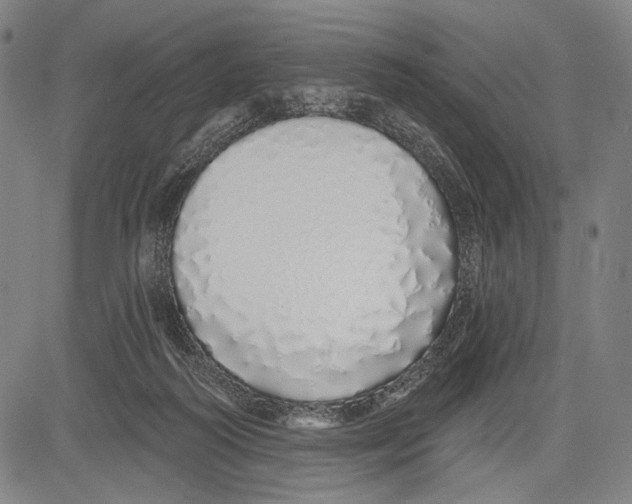 X0000081600218200702121557