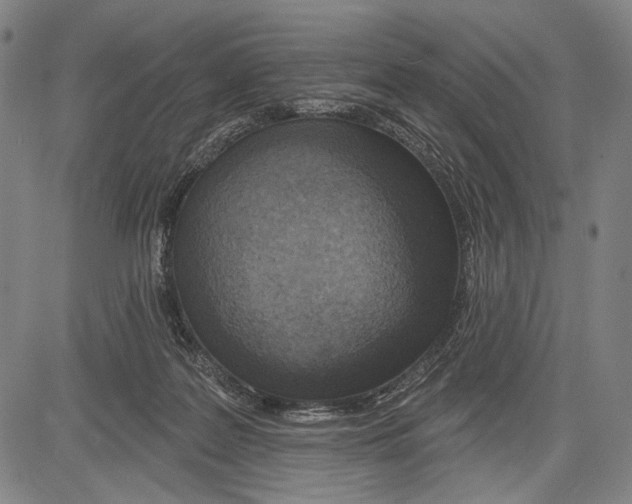 X0000081600219200702121557