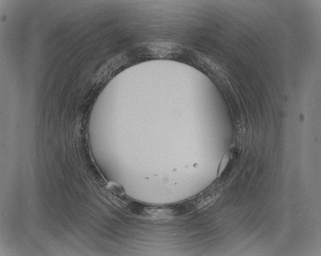 X0000081600221200702121557