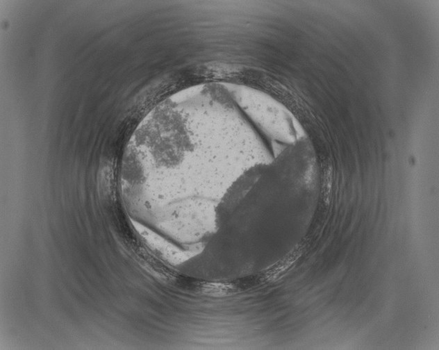 X0000081600222200702121557