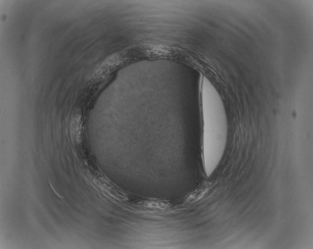 X0000081600223200702121557