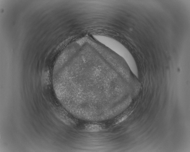 X0000081600224200702121557